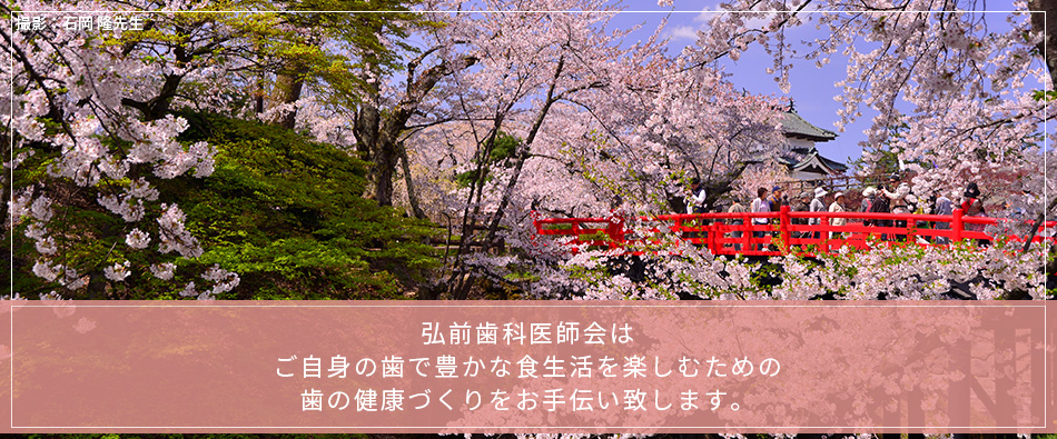 弘前歯科医師会はご自身の歯で豊かな食生活を楽しむための歯の健康づくりをお手伝い致します。