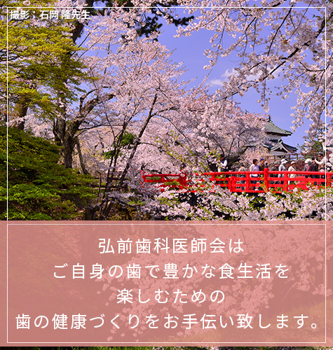 弘前歯科医師会はご自身の歯で豊かな食生活を楽しむための歯の健康づくりをお手伝い致します。